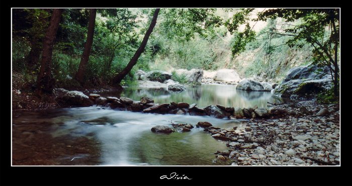 Ein verstecktes Plätzchen