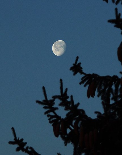 Ein Versuch, den Mond zu bannen....