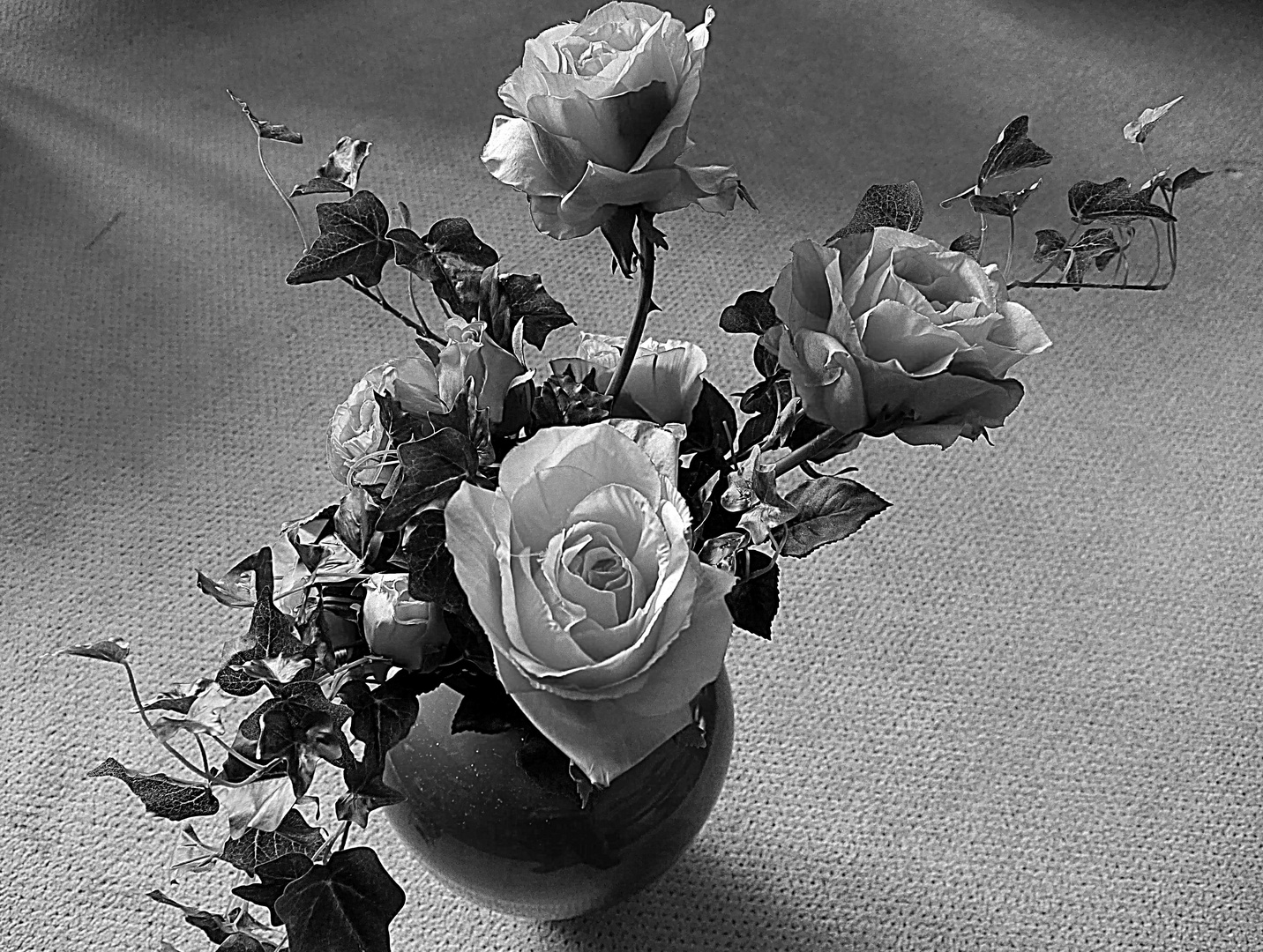 Ein Versuch, Rosen in Weiß.