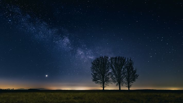 Ein Versuch war es Wert 