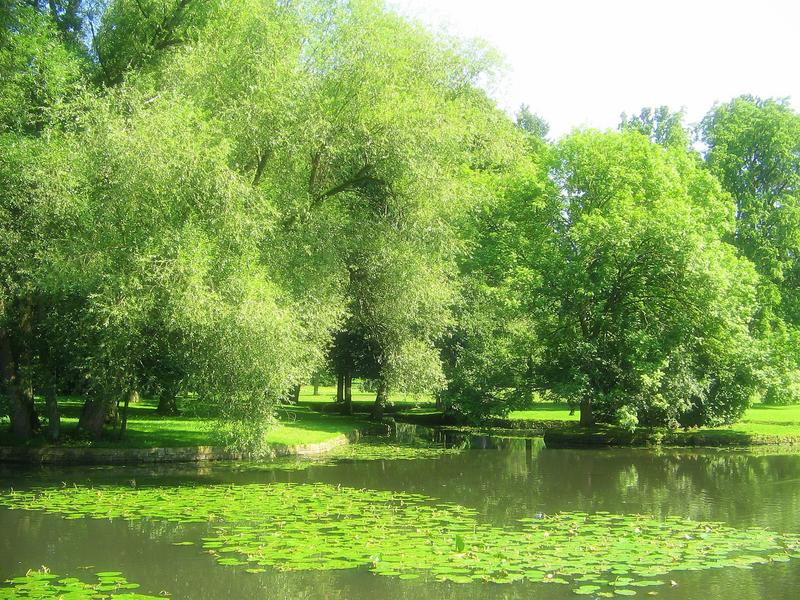 Ein verträumter Sommertag im Schlossgarten Werneck