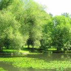 Ein verträumter Sommertag im Schlossgarten Werneck