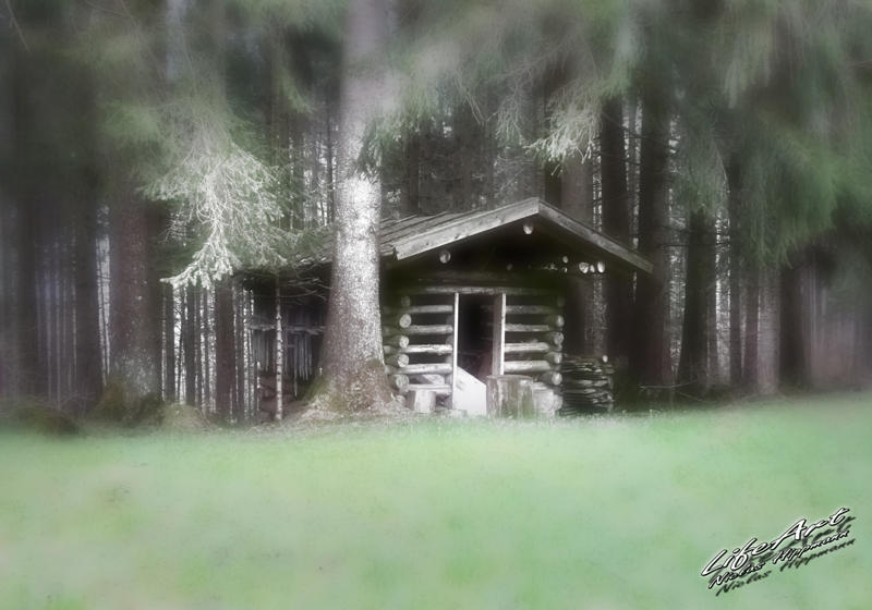 Ein verträumtes Plätzchen im Wald