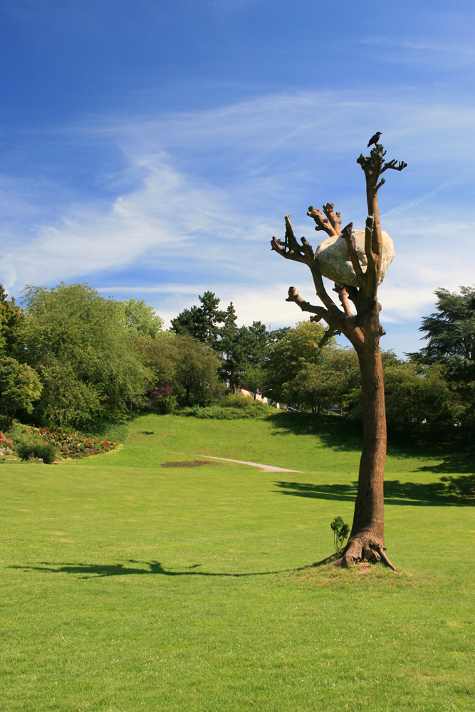 Ein Vogel auf dem Penones Baum