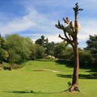 Ein Vogel auf dem Penones Baum