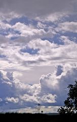 Ein Vogel im Wolkenmeer