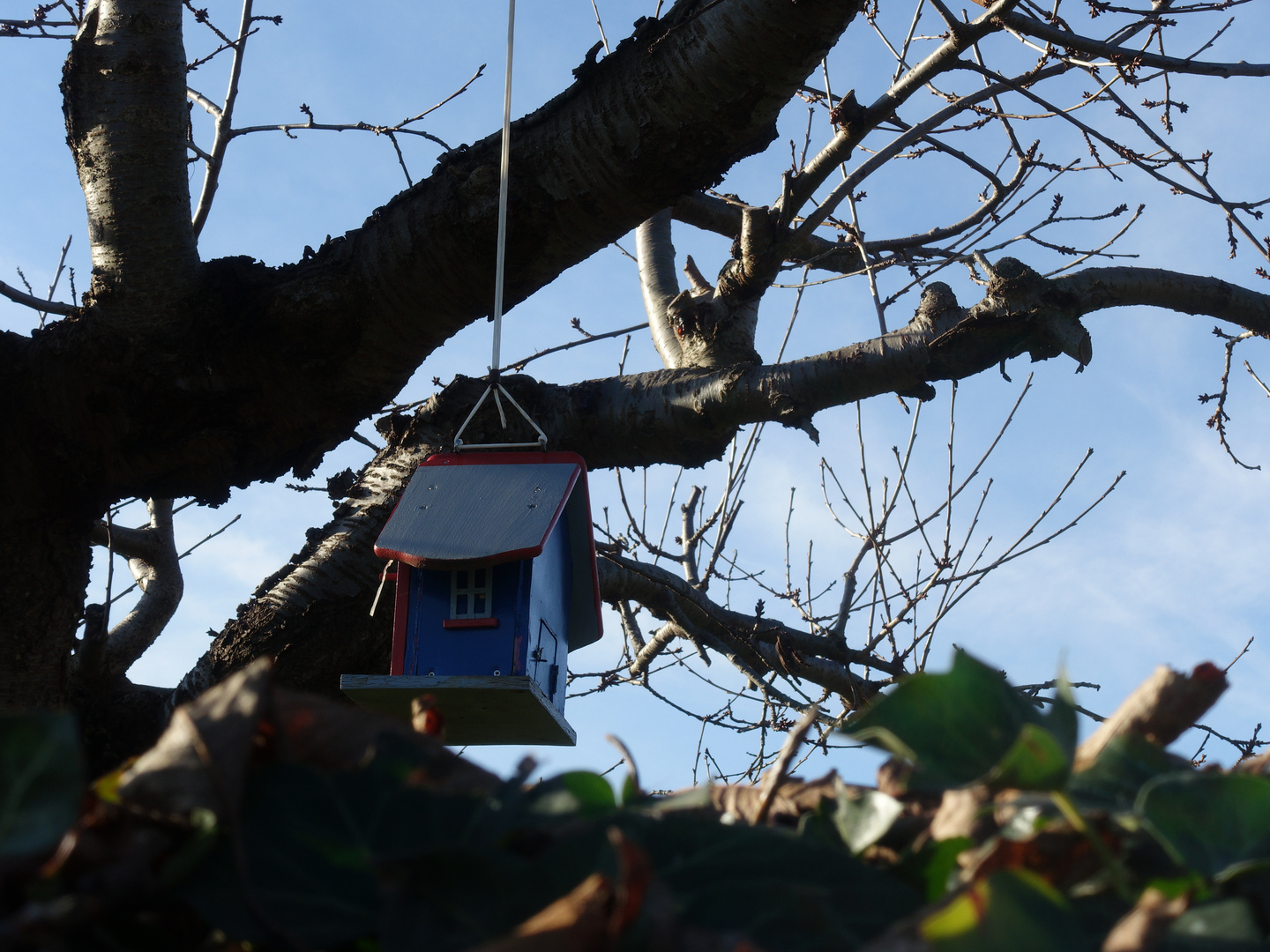 Ein Vogelhaus in einer Gartenanlage