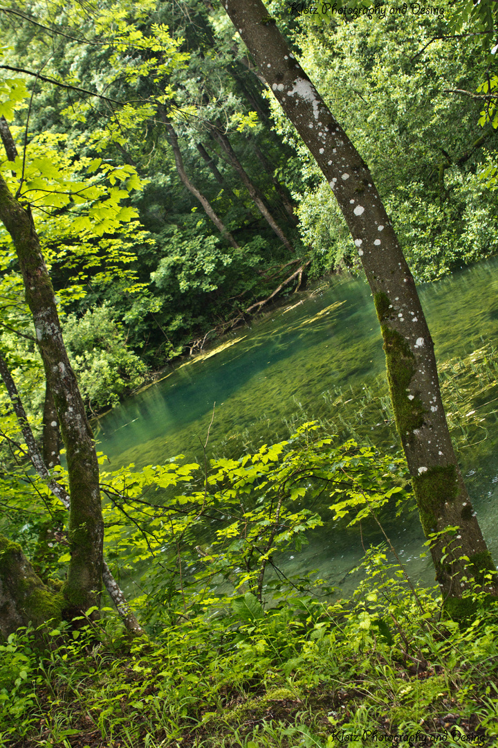 Ein von Menschen erschafener 'Natursee'