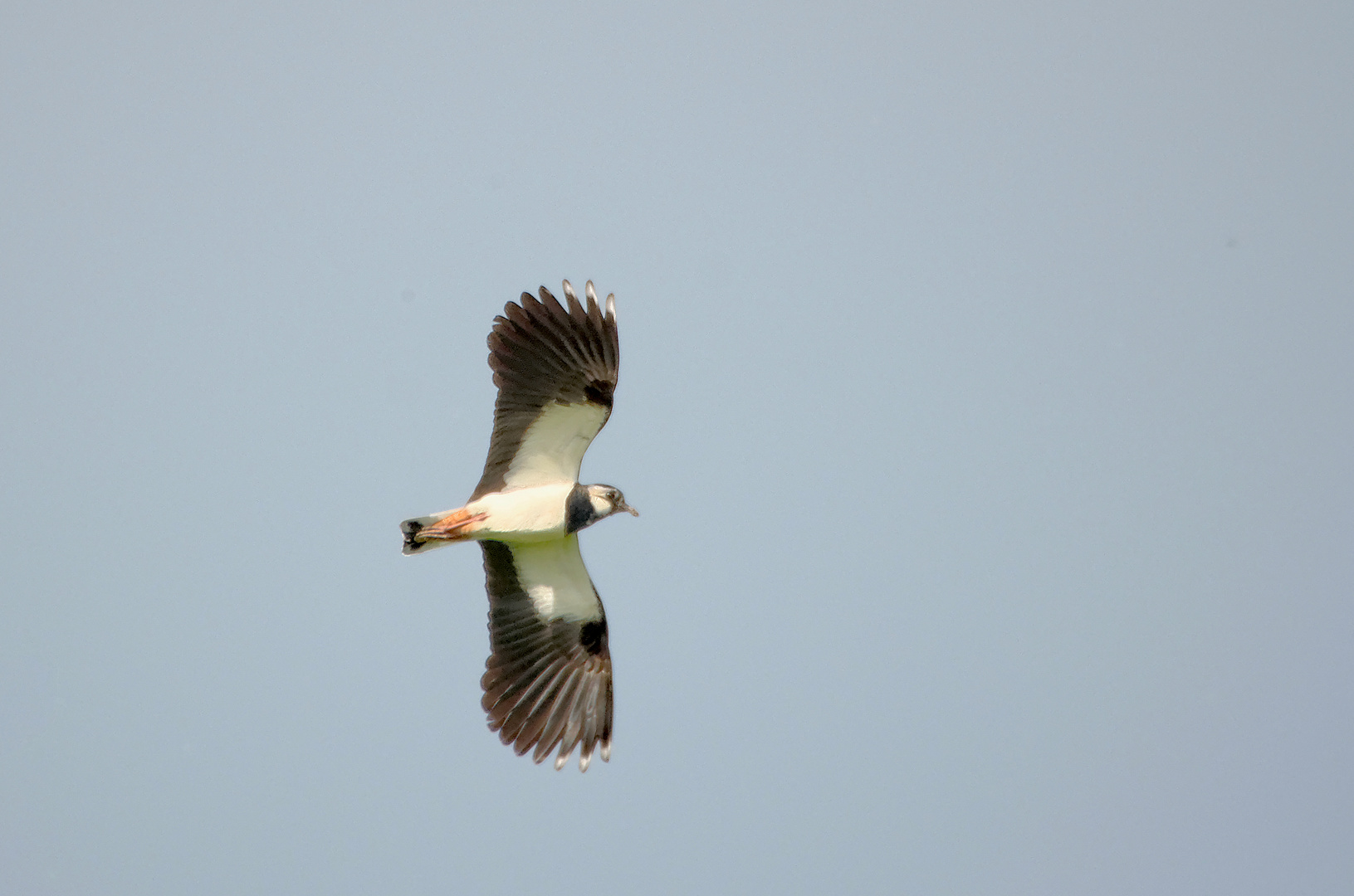 Ein Vorbeiflug