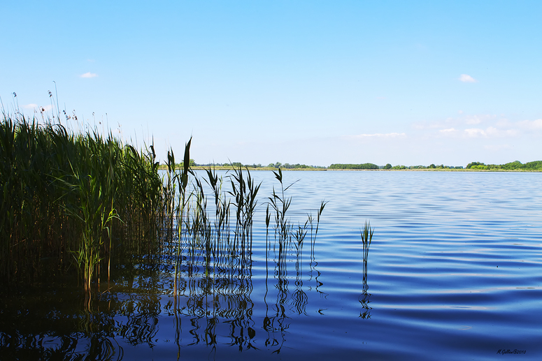 Ein Vormittag am See...