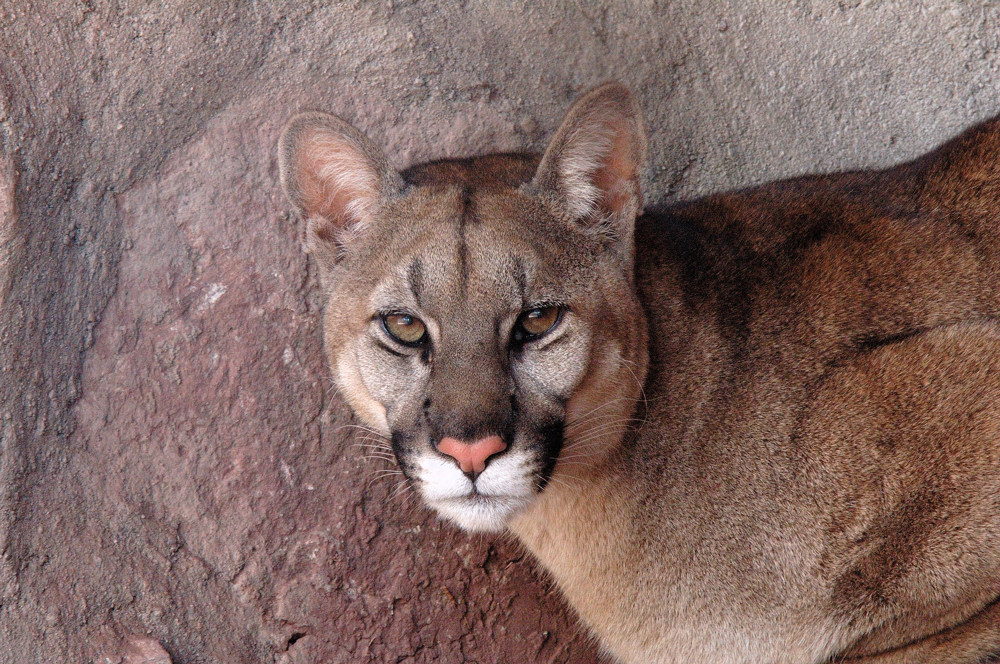 Ein vorsichtiger Blick