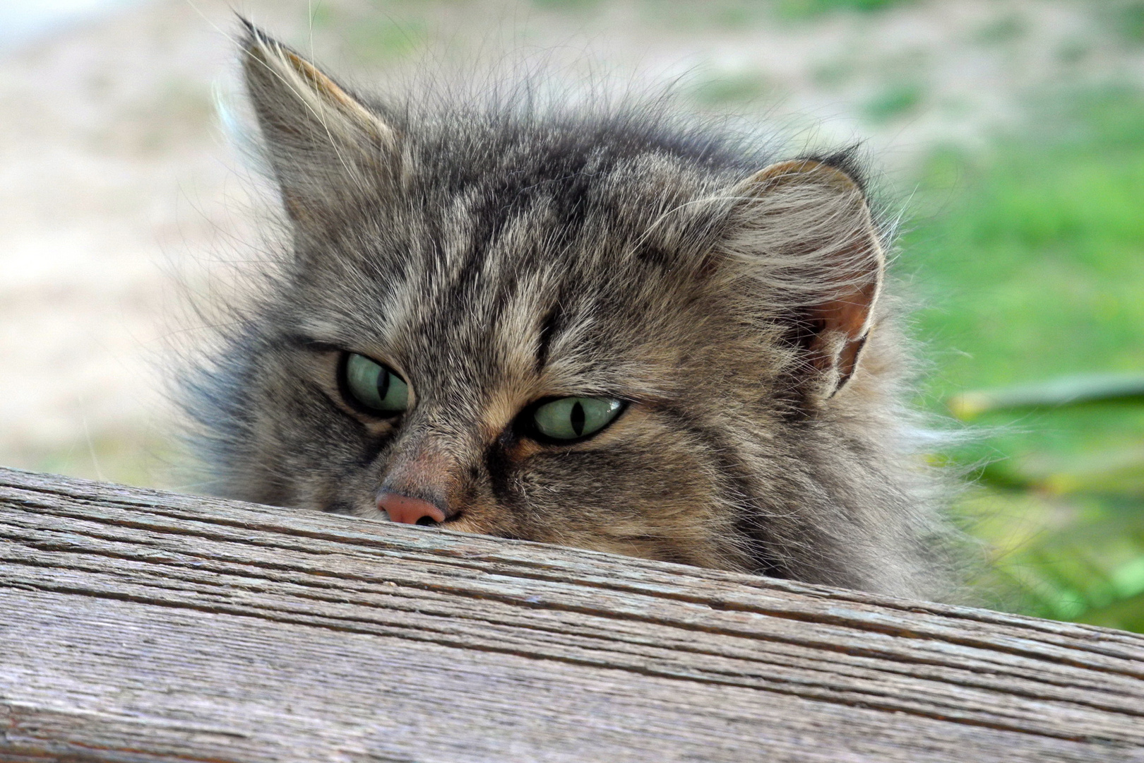 Ein vorsichtiger Blick