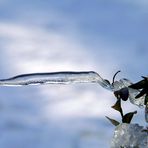 Ein waagerechter Eiszapfen