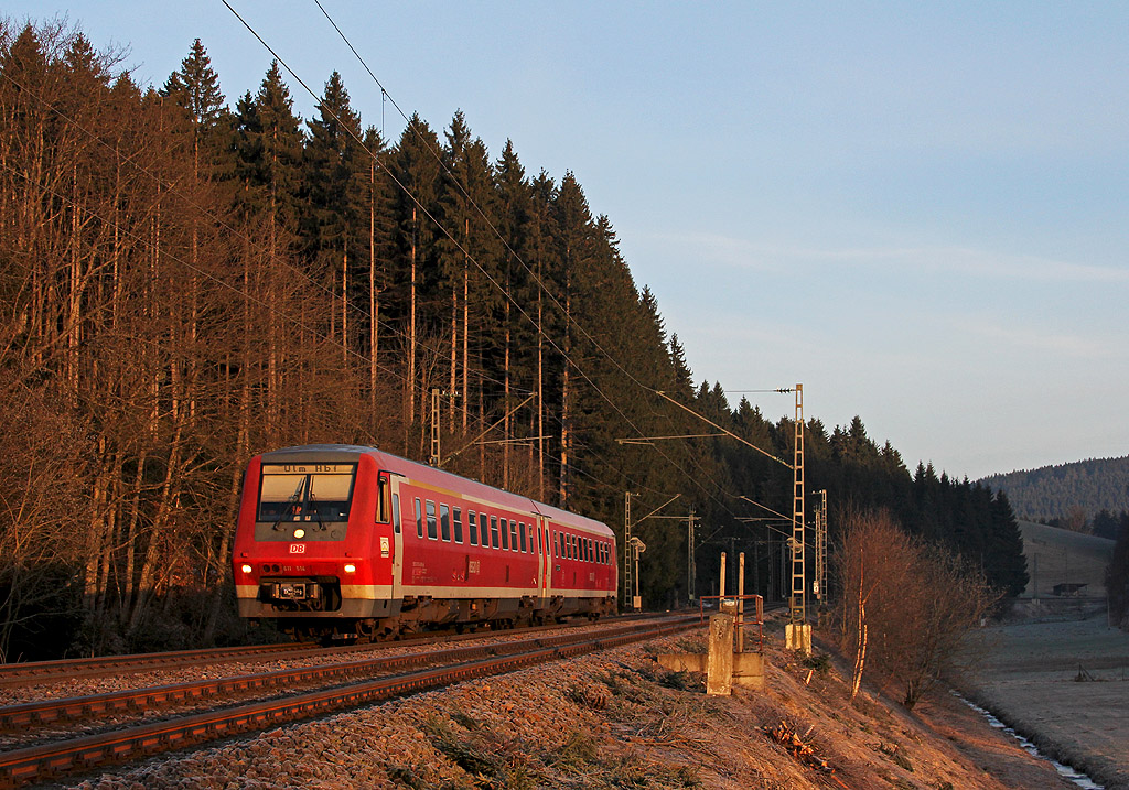 Ein Wackeldackel im Schwarzwald