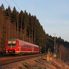 Ein Wackeldackel im Schwarzwald