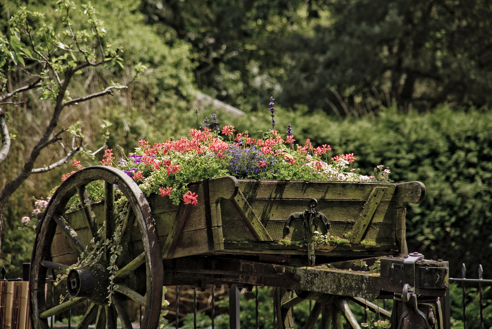 Ein Wagen voller Blumen