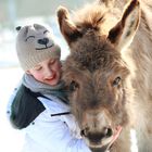 Ein wahrer Freund trägt mehr zu unserem Glück bei, als tausend Feinde zu unserem Unglück