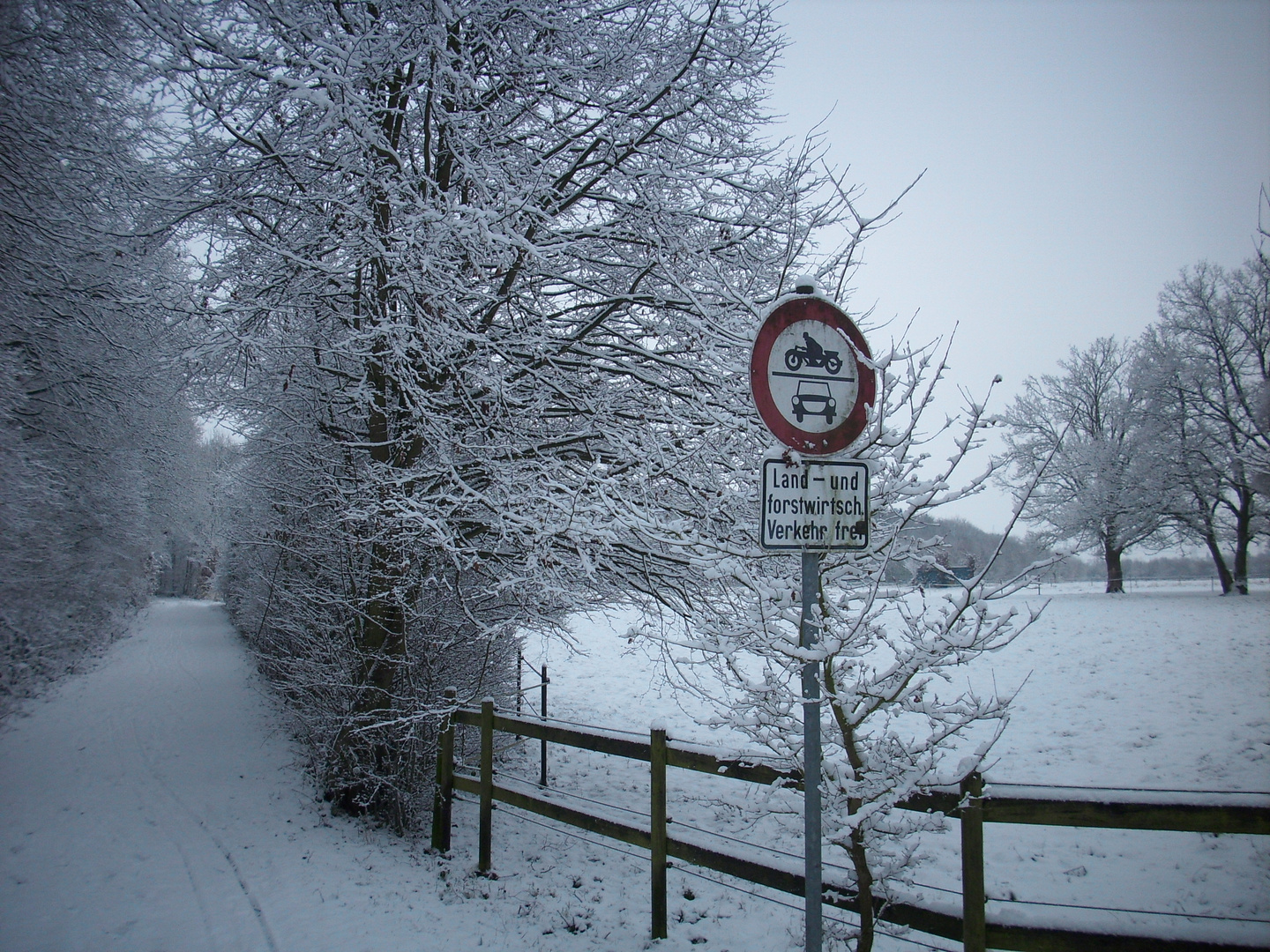 ein wahrer Winter