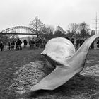 ein Wal auf der Mühlenweide Duisburg Ruhrort