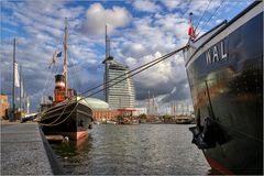Ein WAL in Bremerhaven...