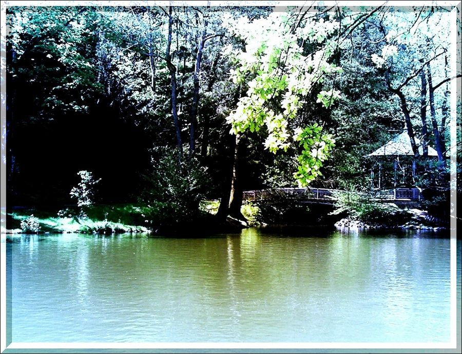 ein Waldsee für Nymphen und Zwerge