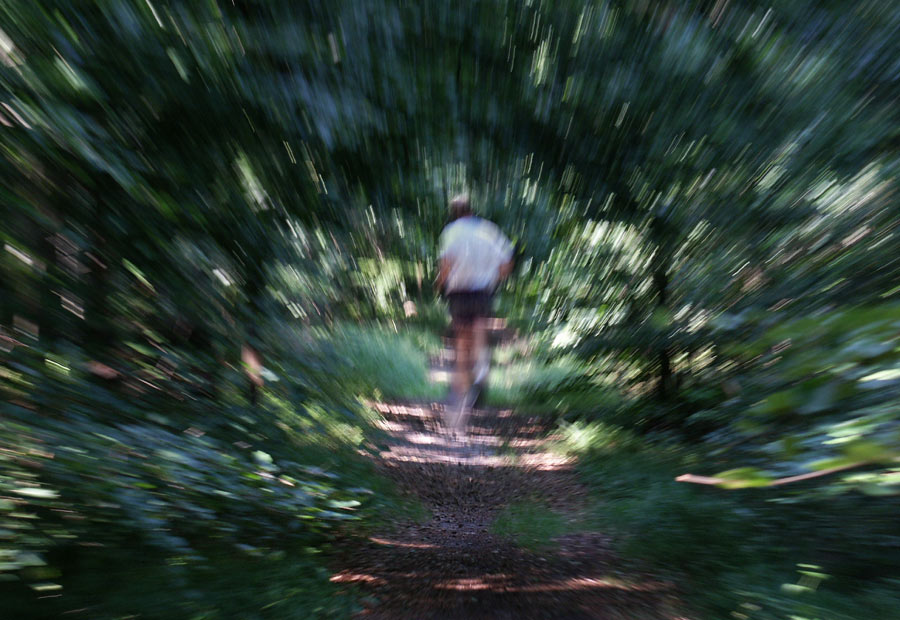 Ein Waldspaziergang....