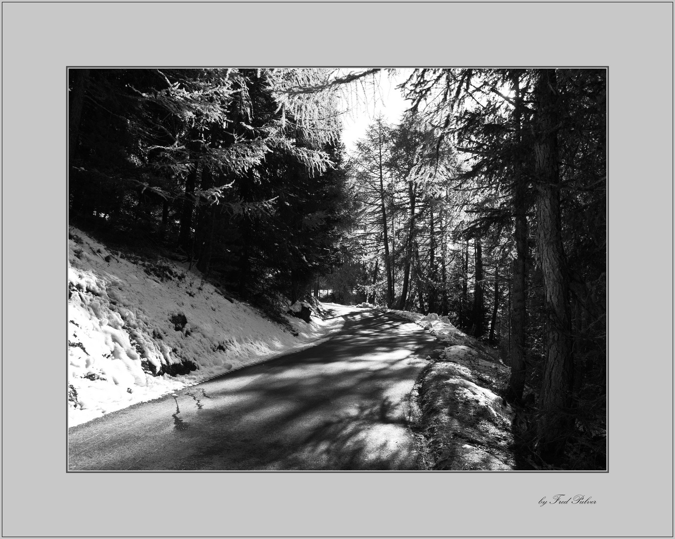 Ein Waldspaziergang 