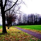 Ein Waldweg zum Wald