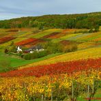 Ein Wandertag, durch „die bunten Weinberge“.....