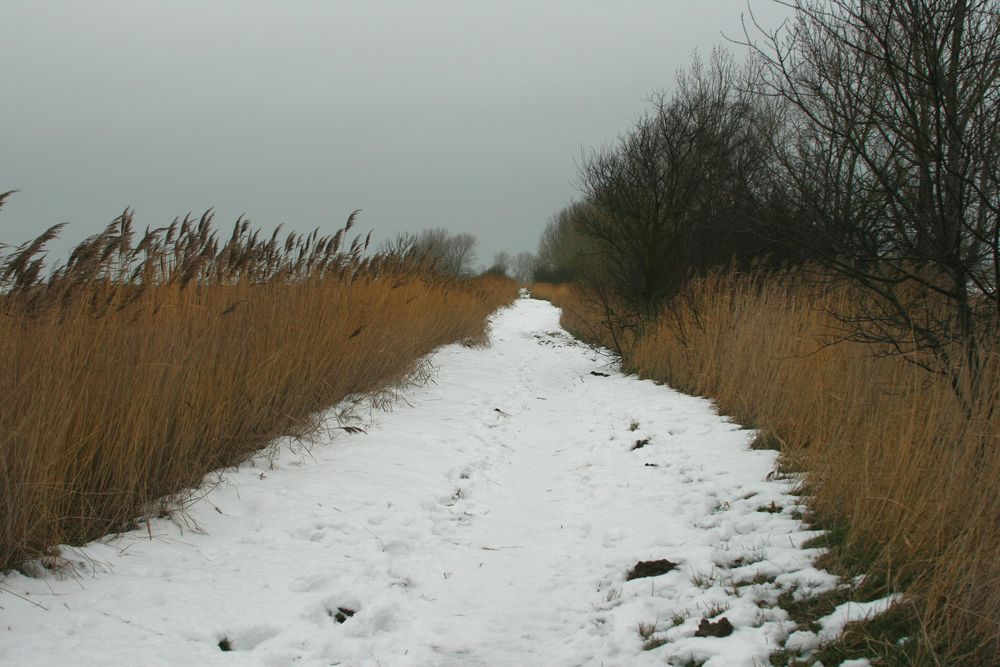 Ein Wanderweg