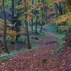 Ein Wanderweg zur "Queste"