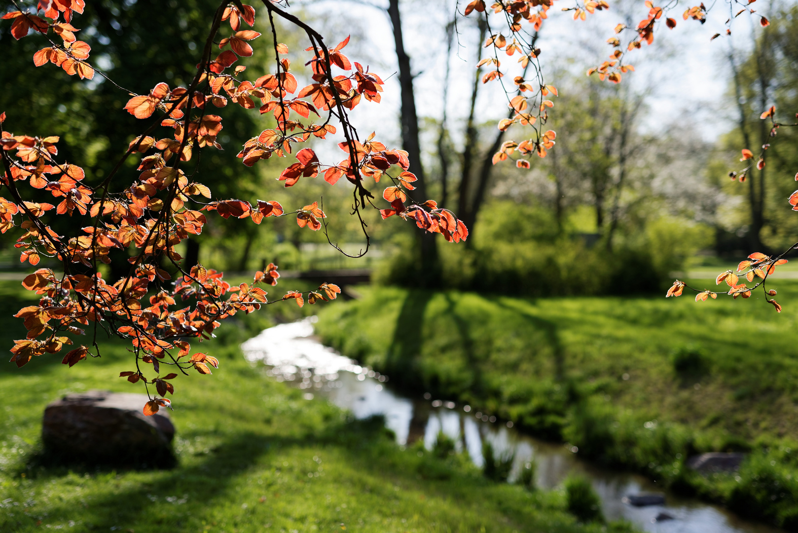 Ein warmer Frühlingsnachmittag am Mosbach im Biebricher Schlosspark