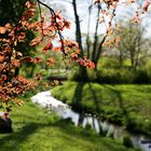 Ein warmer Frühlingsnachmittag am Mosbach im Biebricher Schlosspark