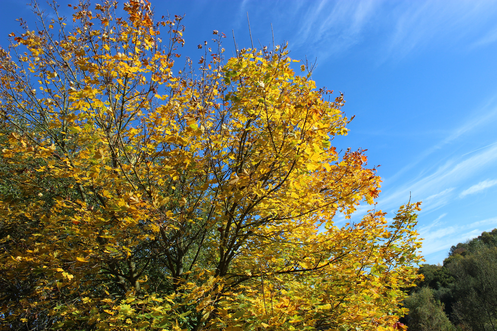 Ein warmer Herbsttag