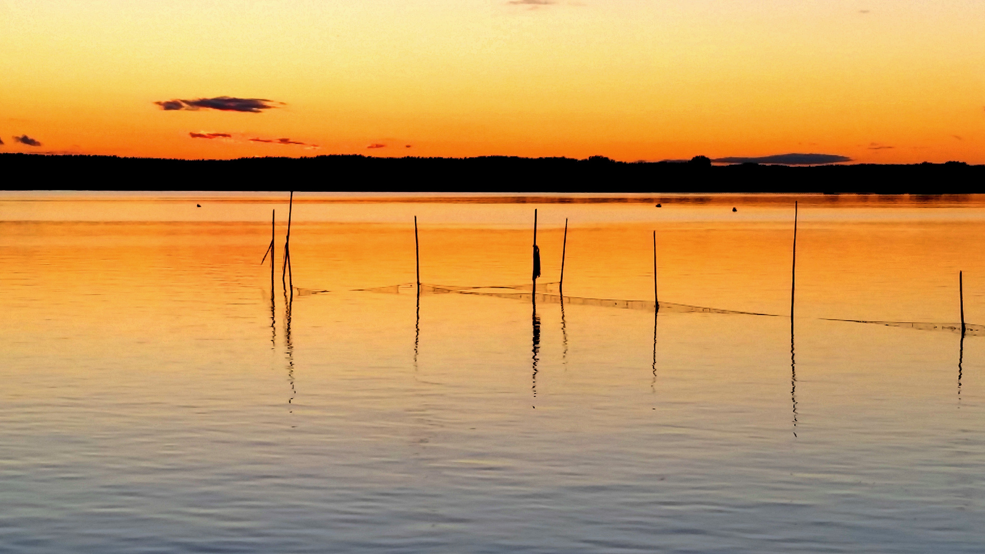 Ein warmer Sommerabend 