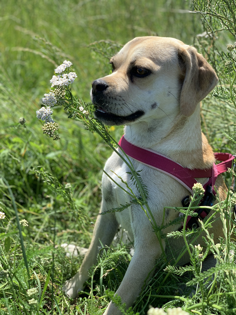 Ein warmer Sommertag