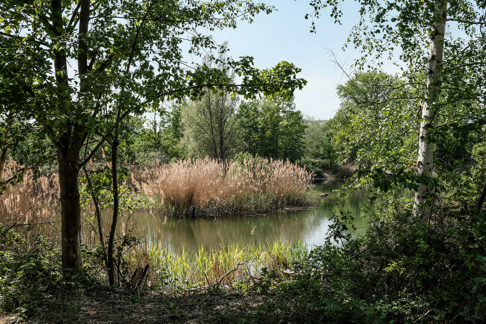 Ein warmer Tag im April