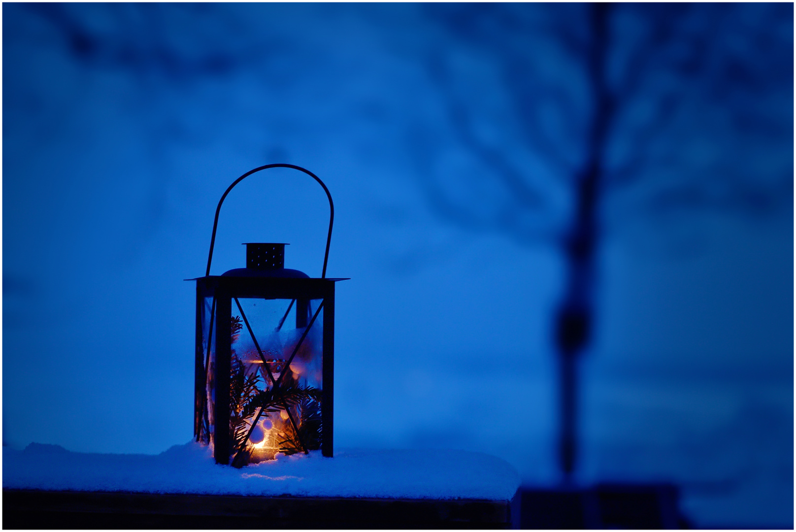 ein warmes Licht in der Kälte des Winters