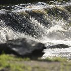 Ein Wasser spritzig, bitte! (2)