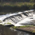 Ein Wasser spritzig, bitte! (3)