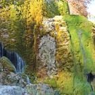 Ein Wasserfall in der Vulkaneifel