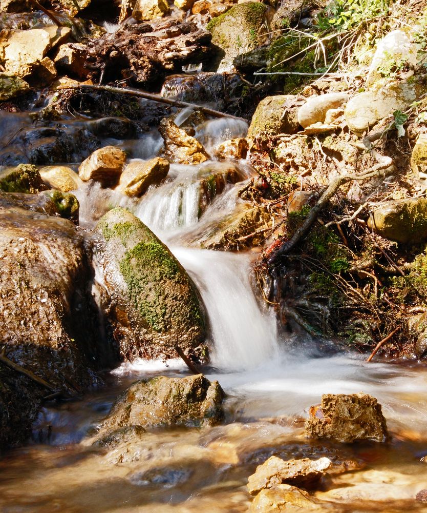 Ein Wasserlauf mal etwas anders