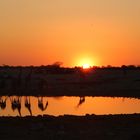 ein Wasserloch im Etosha Nationalpark