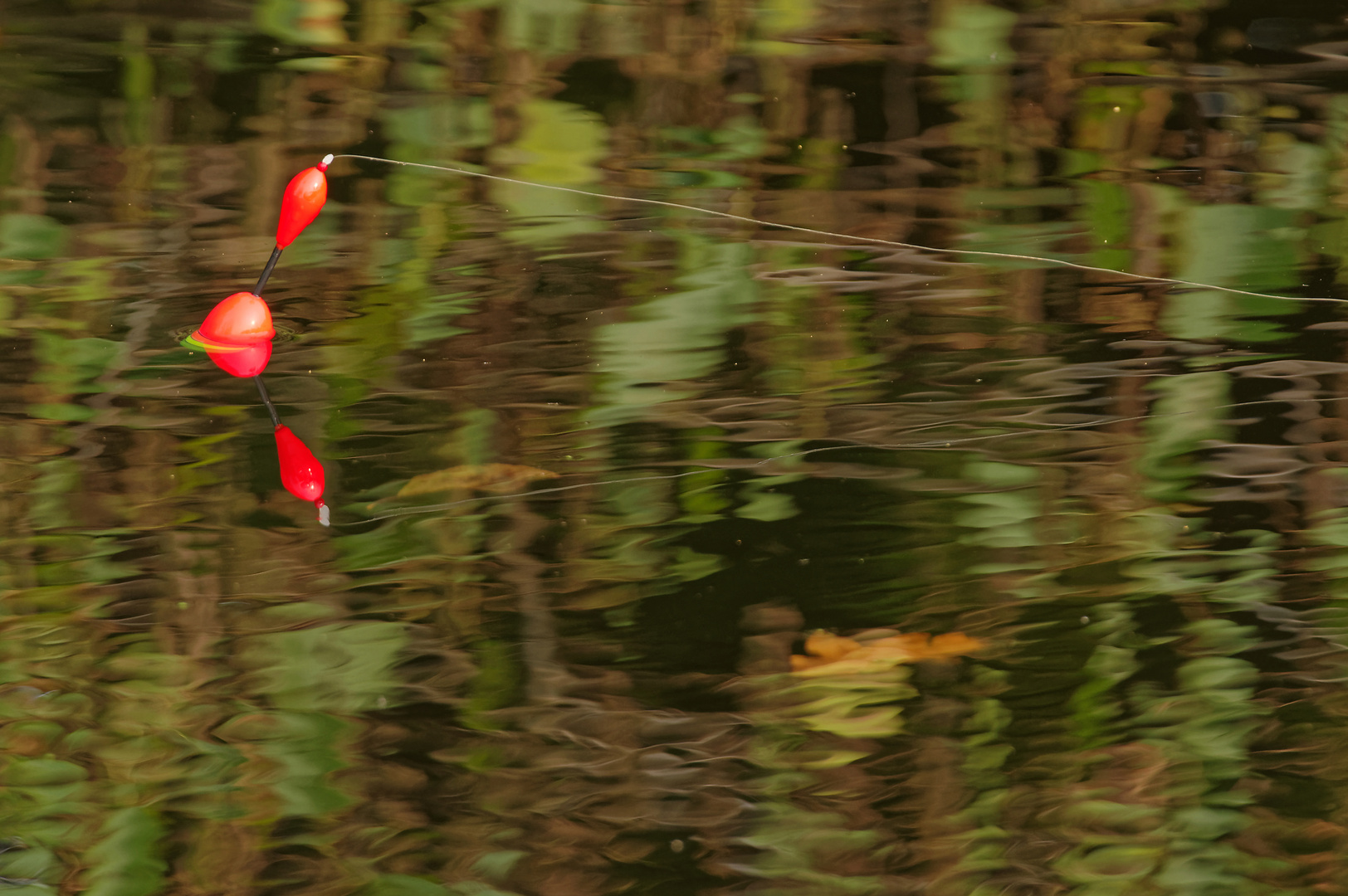 Ein Wasserpickel