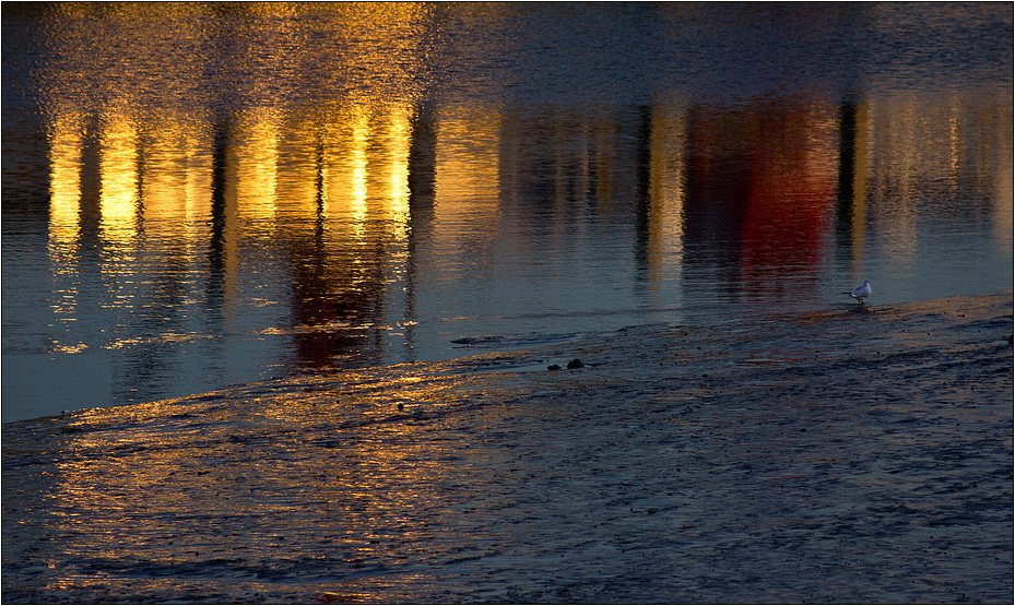 Ein Wasserstandsmelder bei der Arbeit