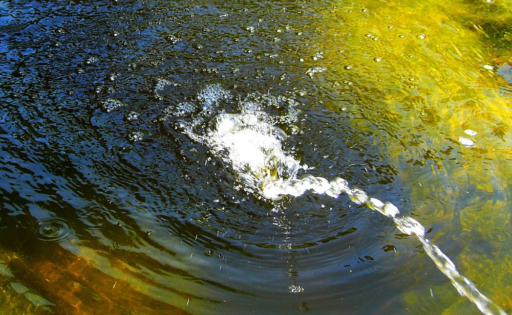 ein Wasserstrahl im Teich