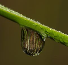 Ein Wassertropfen