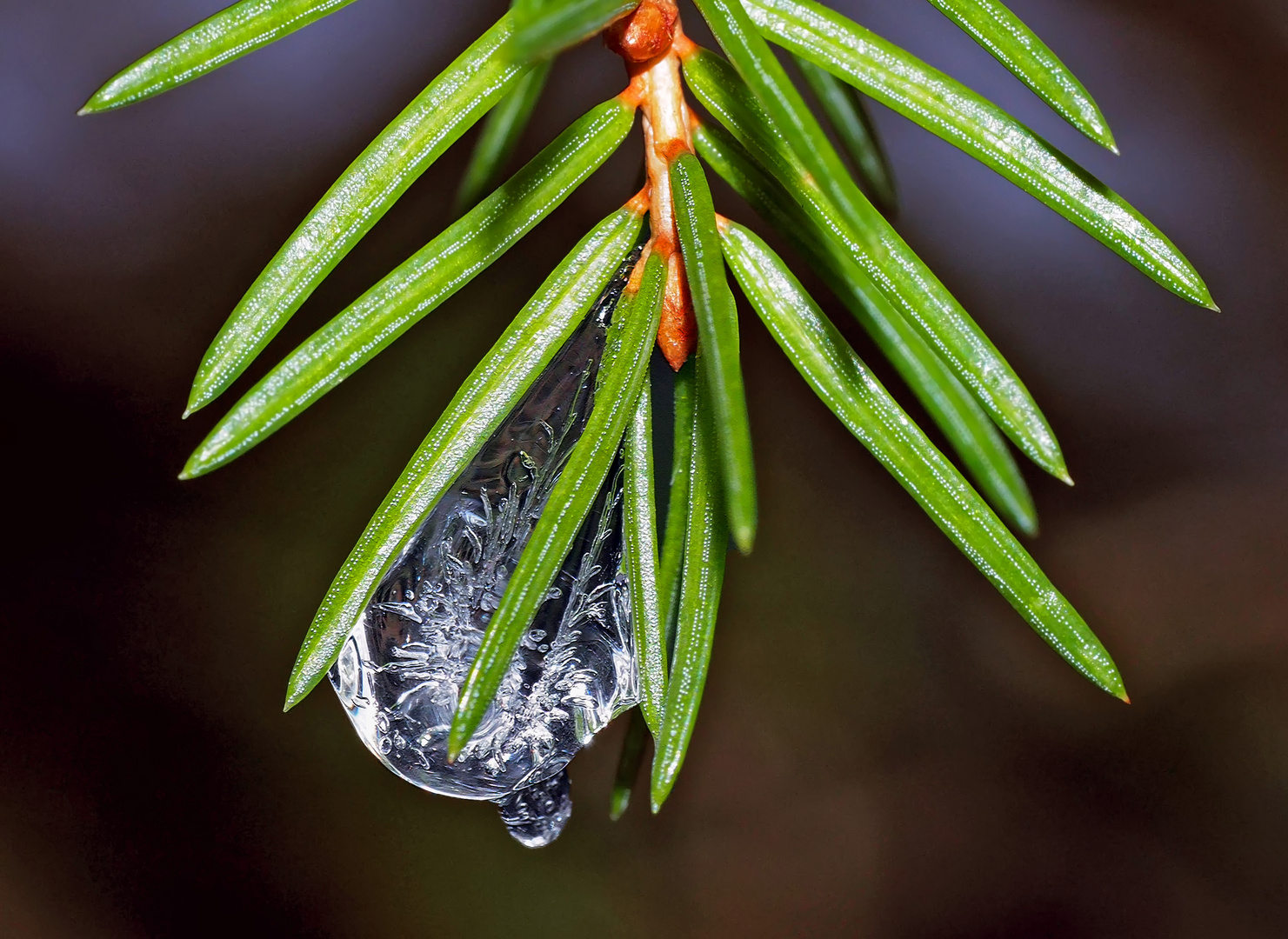 Ein Wassertropfen? Nein, ein Eistropfen! - Une goutte de glace!