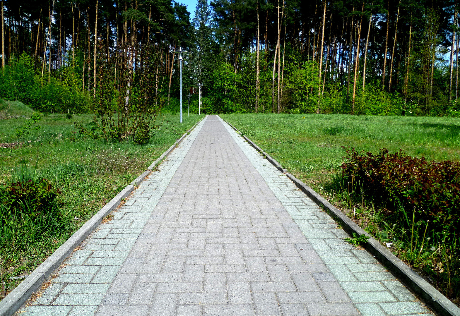 ein-weg