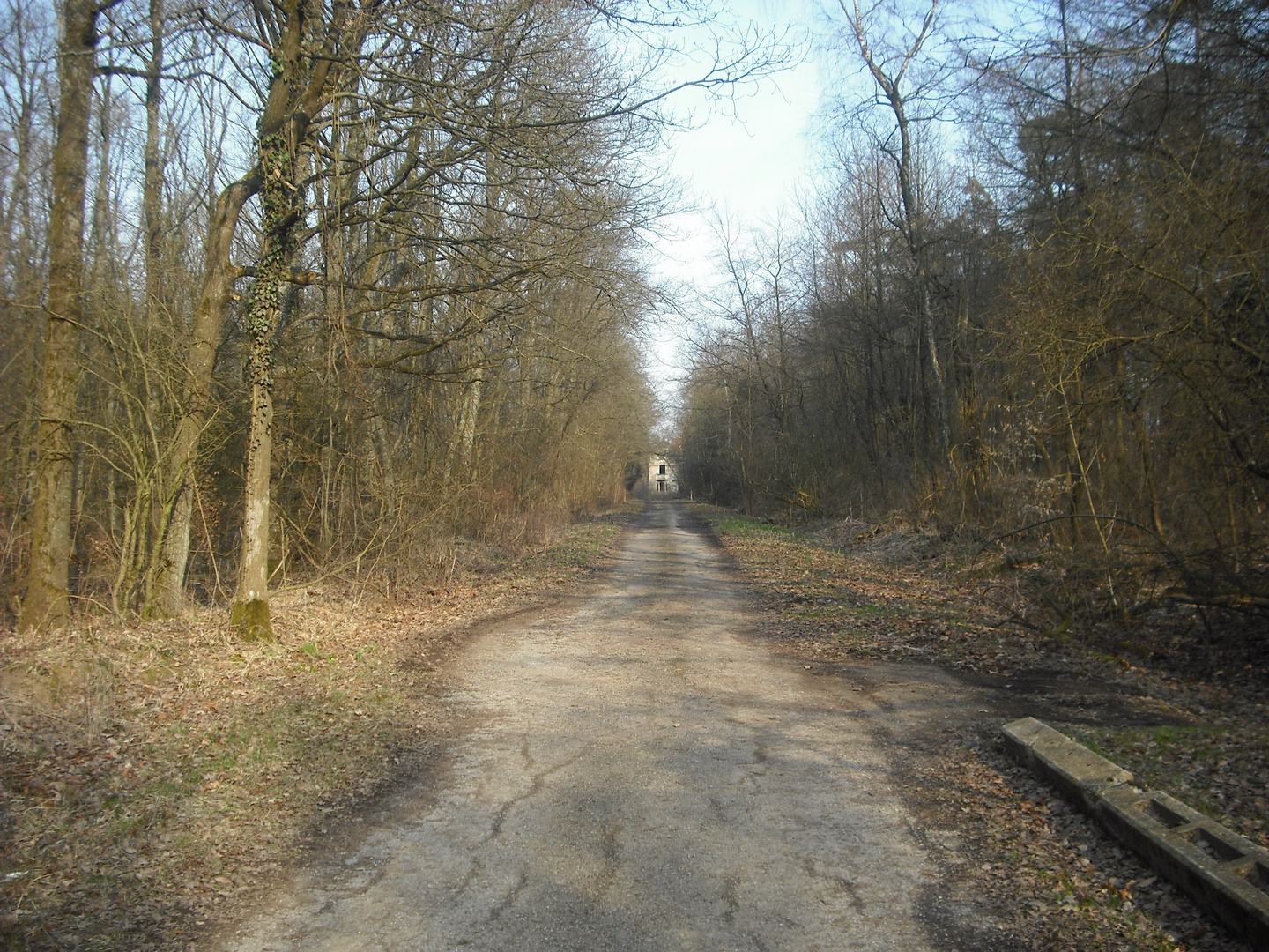 Ein Weg